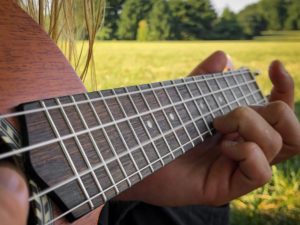 Våga utvecklas musikalisk med ett nytt instrument från www.danguitar.se